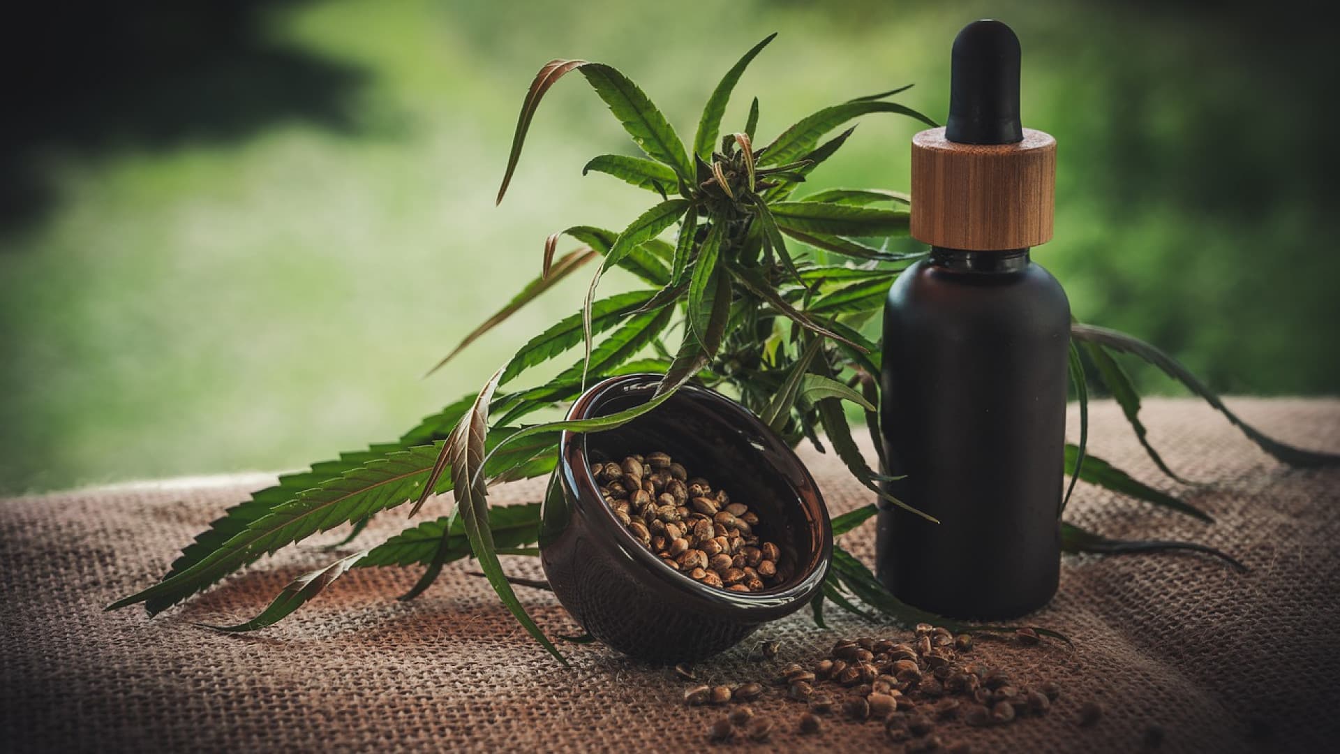 Comment utiliser l’huile de cbd ?