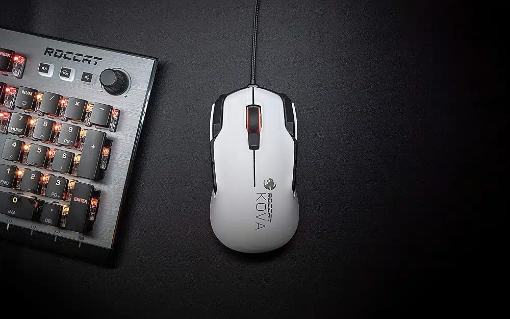 souris Gamer